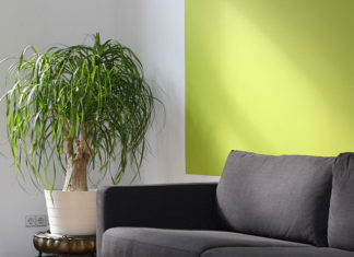 Na co zwrócić uwagę kupując mieszkanie od dewelopera