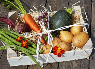 Jakie są zasady transportu warzyw i owoców