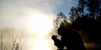 Skąd się wzięła szkoła?