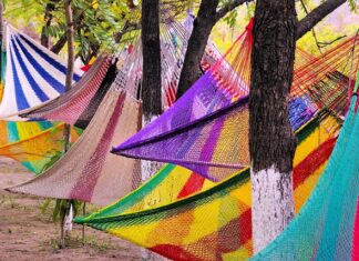 Dlaczego wielu młodych nie radzi sobie na rynku pracy?