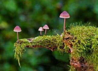 Jakie są rodzaje medytacji? Jakie są rodzaje medytacji?