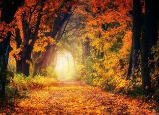 Jak zrelaksować faceta? Jak zrelaksować faceta?