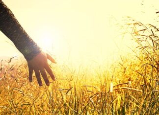 Jak osiągnąć spokój w głowie?