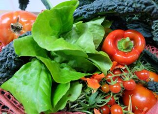 Co trzeba zrobić żeby być dobrym sportowcem? Co trzeba zrobić żeby być dobrym sportowcem?