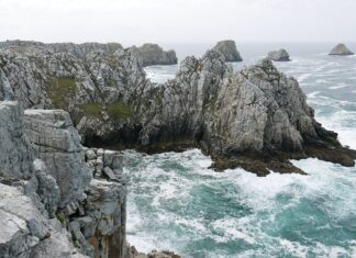 Czy celnicy mają broń? Czy celnicy mają broń?