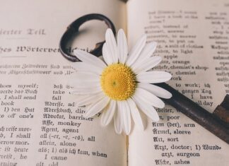 Jak wycenić tłumaczenie?