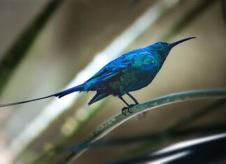 Czy można dopisać ręcznie na fakturze? Czy można dopisać ręcznie na fakturze?