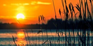 Jakie są instrumenty rynku kapitałowego?