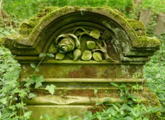 Jak grzecznie o sobie przypomnieć?