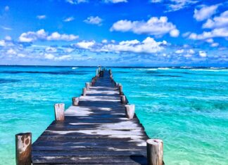 Jak otrzymać wczasy pod gruszą?