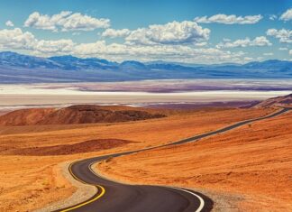 Ile lat po śmierci spadkodawcy można domagać się zachowku? Ile lat po śmierci spadkodawcy można domagać się zachowku?