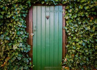 Jak nauczyć się spokoju i opanowania?