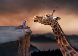 Czy da się żyć bez wykształcenia? Czy da się żyć bez wykształcenia?