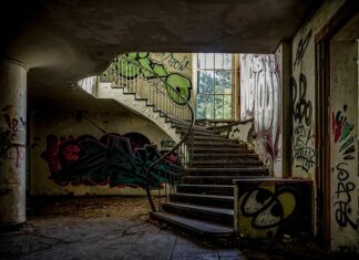 Jakie są etapy diagnozy funkcjonalnej?