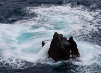 Po jakiej cenie sprzedać udziały w spółce?