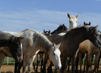 Czym różni się ERP od CRM? Czym różni się ERP od CRM?