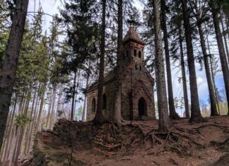 Co daje kopa energetycznego?