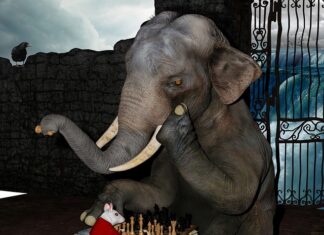 Jak skupić się na tym co tu i teraz?