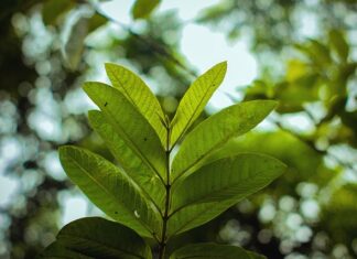Jakich tematów unikać? Jakich tematów unikać?