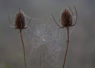 Ile czasu trwa sprawdzian kompetencji językowych?