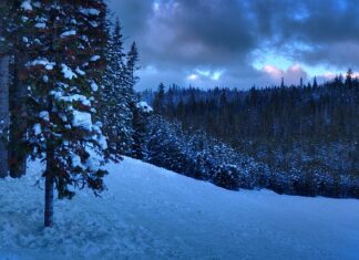 Czy po licencjacie można być pedagogiem specjalnym?