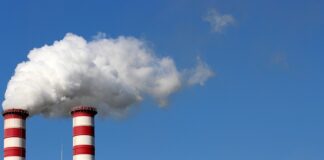 Ile godzin pracuje terapeuta?