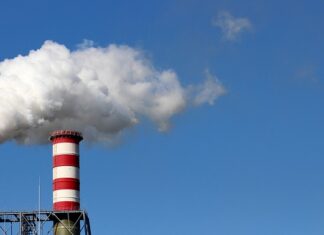 Ile godzin pracuje terapeuta?