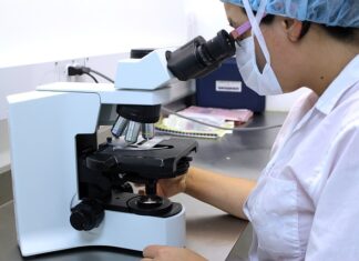 Jakie testy można zautomatyzować?