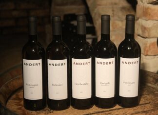 Kto rządzi w szkole?