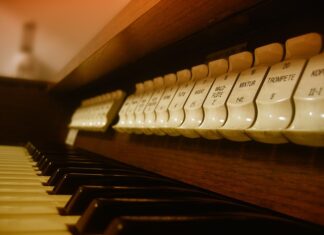 Jakie są organy w szkole?