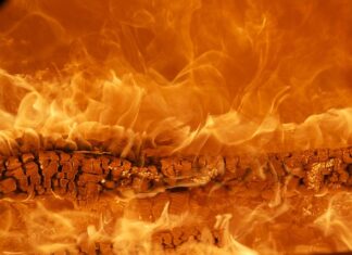 Jakie zioła na energię? Jakie zioła na energię?