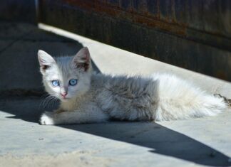 Jak się nie stresować przed pierwszym dniem pracy? Jak się nie stresować przed pierwszym dniem pracy?