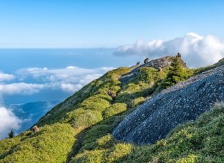 Jaka jest różnica między szkoła publiczna a niepubliczna?