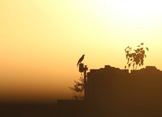 Co powoduje u człowieka nadmierne ciepło w pracy?