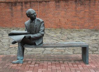 O czym informuje współczynnik Janusowy?