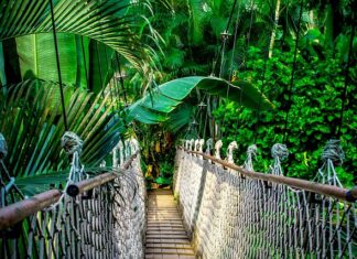 Jaki kurs tester manualny? Jaki kurs tester manualny?