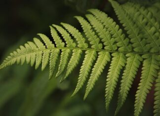 Jak powstała rozszerzona rzeczywistość?