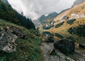 Czym się różni relaksacja od medytacji?