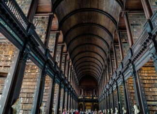 Czym się różni college od uniwersytetu?