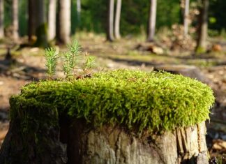 Jak zregenerować zmęczony organizm?