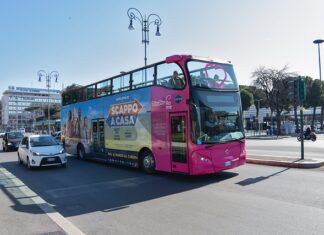 Czy tłumacze będą potrzebni?